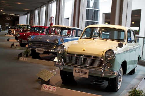 _MG_3623.jpg