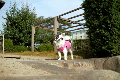 _MG_3628.jpg