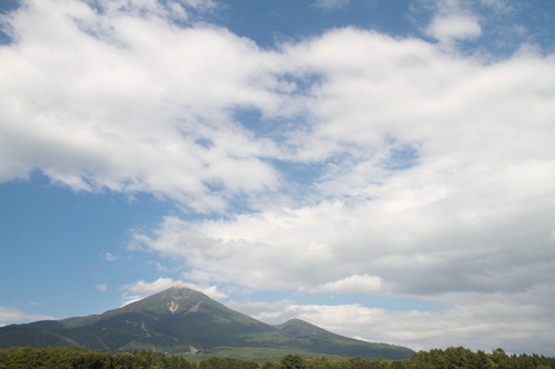 _MG_5455.jpg
