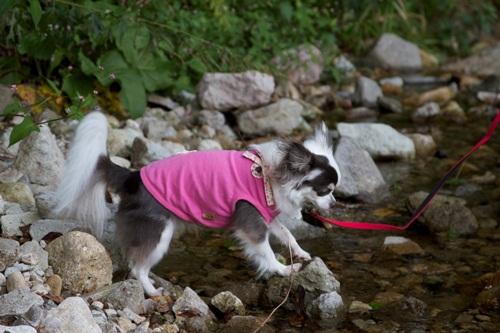 _MG_5469.jpg