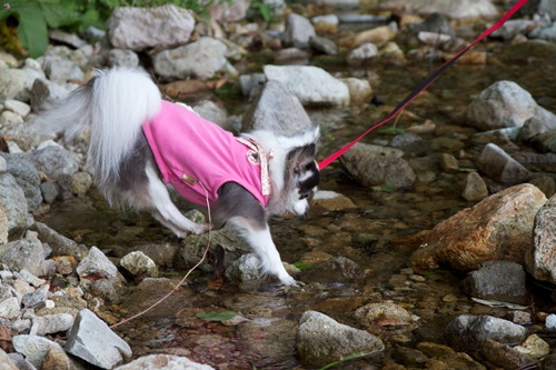 _MG_5470.jpg