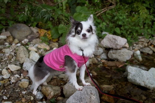 _MG_5473.jpg