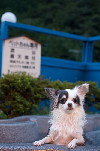 _MG_5490.jpg