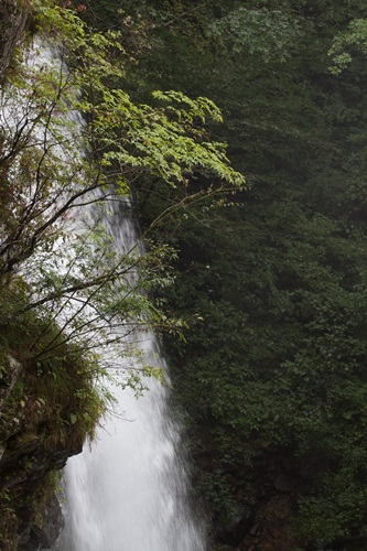 _MG_5535.jpg
