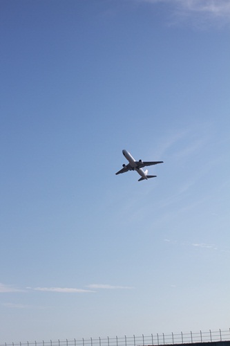 _MG_5779.jpg