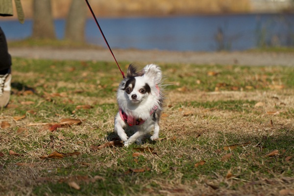 _MG_7155.jpg