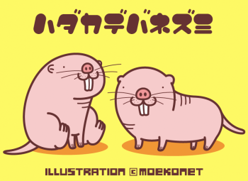ハダカデバネズミイラスト