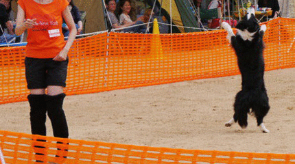1367414415HDyieE_3duBBF401367414412.gif
