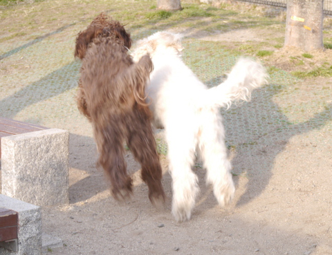 EqV5tBsibRu6E6A1361978852_1361978878.jpg
