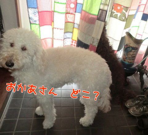 PnrRL3uez1ecx5F1364650220_1364650420.jpg