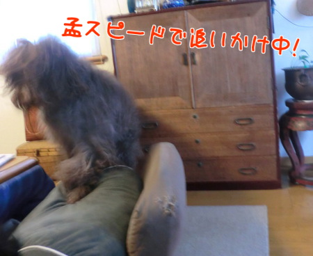 ivlZRLlGr6b0XyJ1364088033_1364088177.jpg