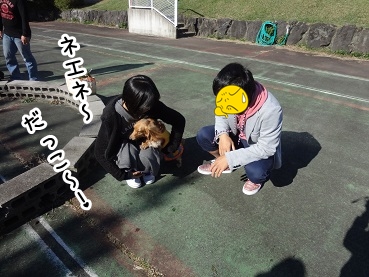 kinako1152.jpg
