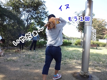 kinako1158.jpg