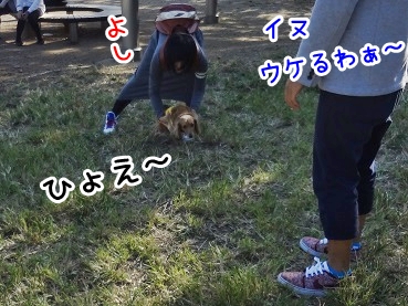 kinako1160.jpg