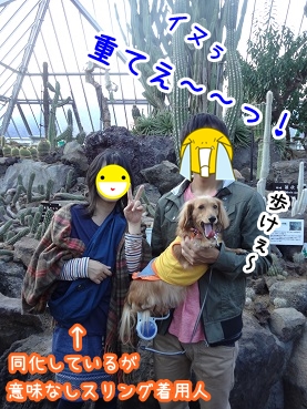 kinako1169.jpg