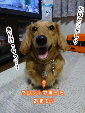 kinako1174.jpg
