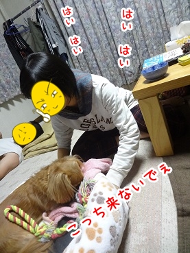 kinako1201.jpg