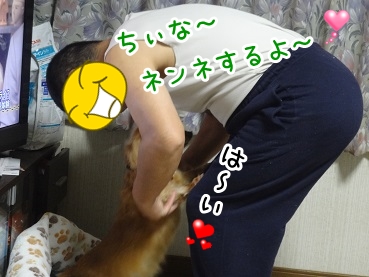 kinako1316.jpg