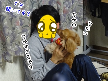 kinako1351.jpg