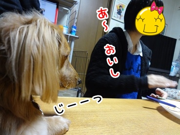 kinako1400.jpg