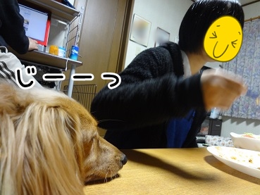 kinako1401.jpg