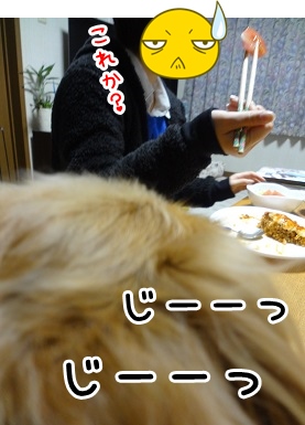 kinako1403.jpg