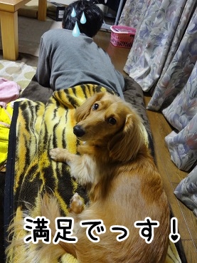 kinako1415.jpg