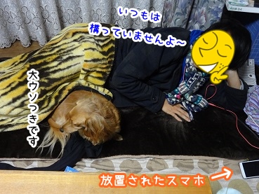 kinako1437.jpg
