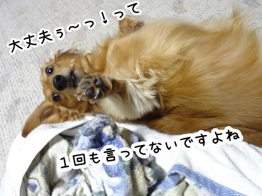 kinako1481.jpg