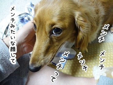 kinako1482.jpg