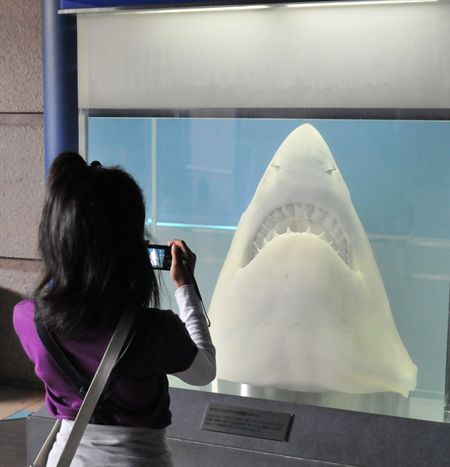 須磨水族館_R