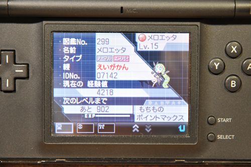 DSC_6049_R.jpg