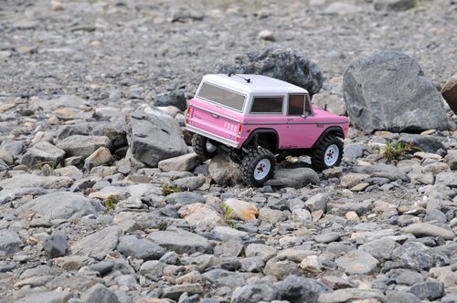 DSC_6237_R.jpg
