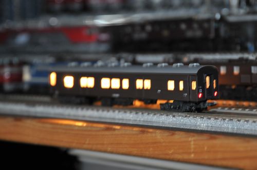 DSC_6355_R.jpg