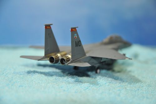 DSC_6454_R.jpg