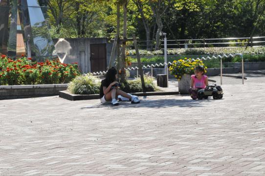 DSC_6528_R.jpg