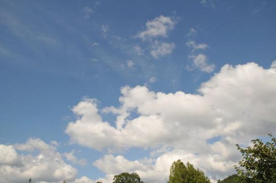 DSC_6546_R.jpg
