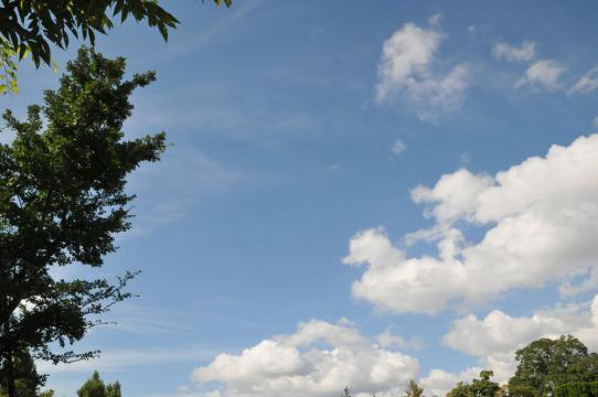 DSC_6550_R.jpg