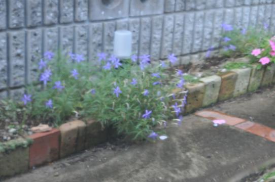 DSC_6579_R.jpg