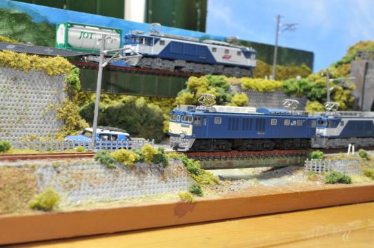 DSC_6630_R.jpg