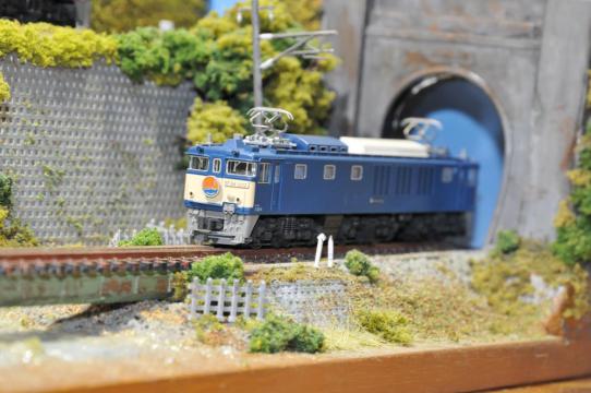 DSC_6638_R.jpg