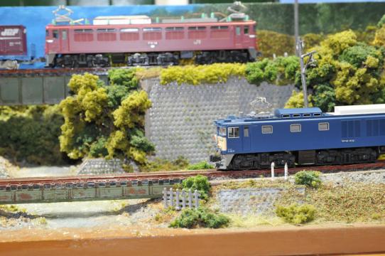 DSC_6639_R.jpg