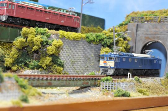 DSC_6640_R.jpg