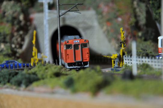 DSC_6739_R.jpg