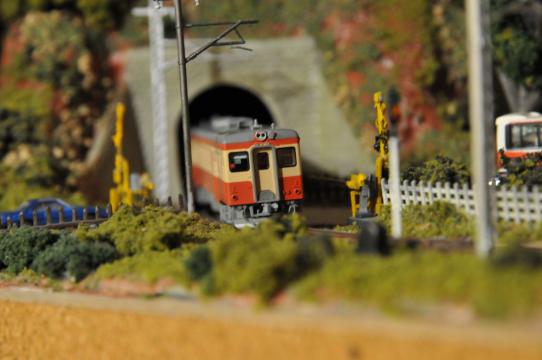 DSC_6745_R.jpg