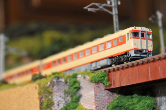 DSC_6753_R.jpg