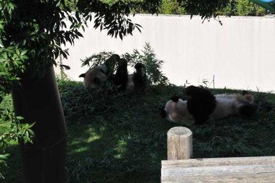DSC_7266_R.jpg