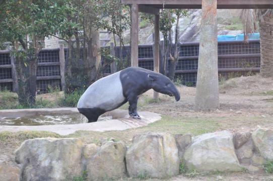 DSC_7499_R.jpg