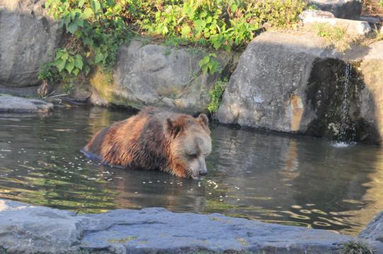 DSC_7512_R.jpg