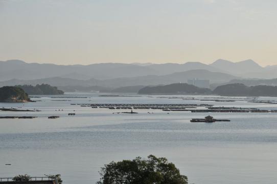 DSC_7536_R.jpg